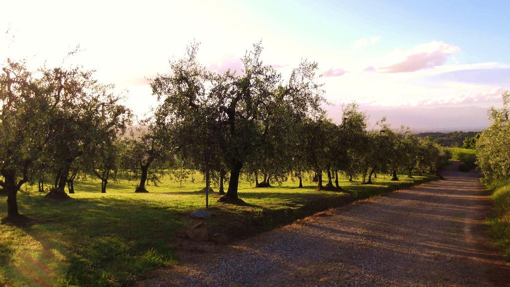 Podere La Casuccia Malmantile Værelse billede